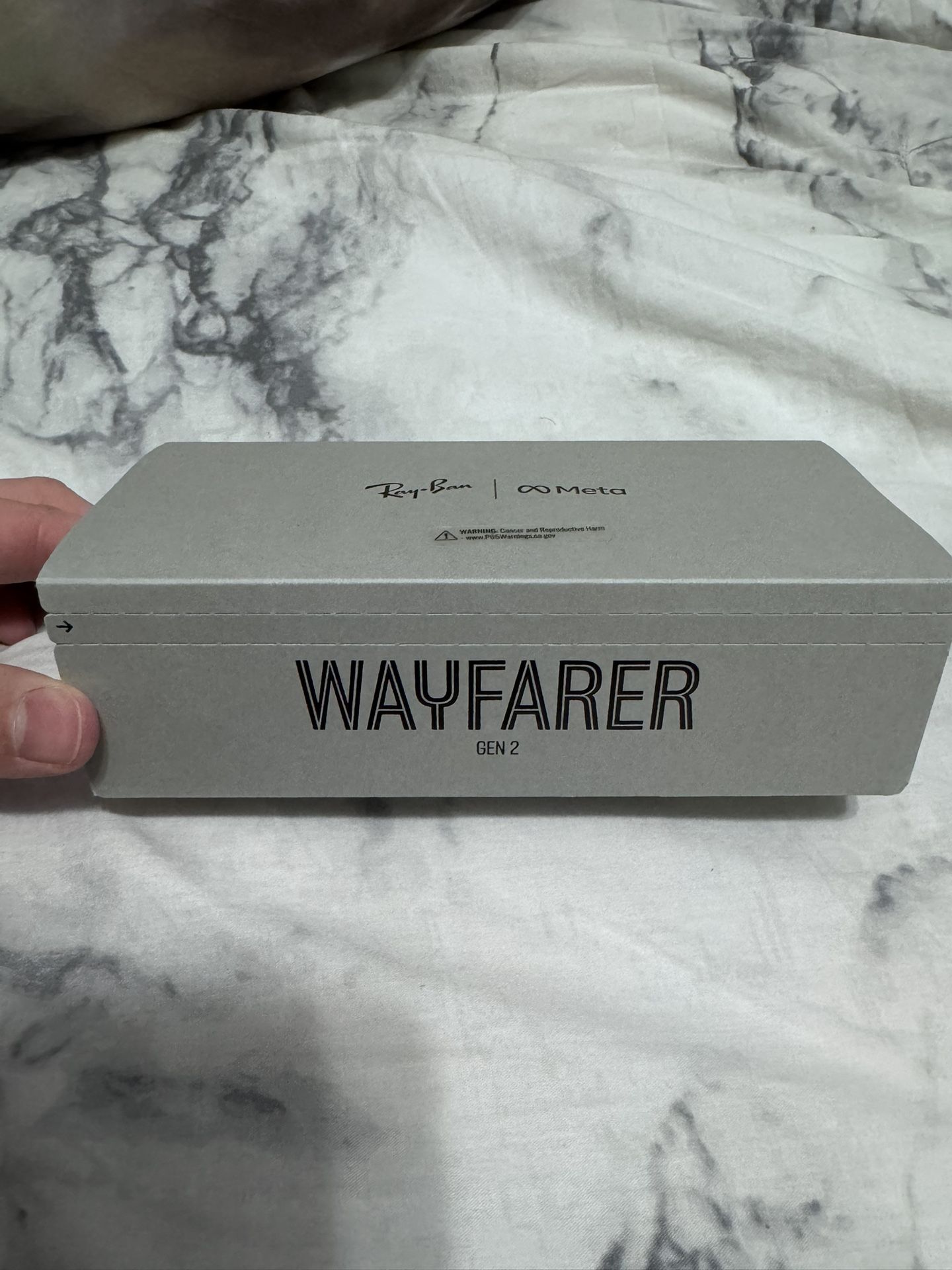 RAY-BAN | META WAYFARER