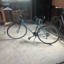 Specialized Bike 20 Inch Frame