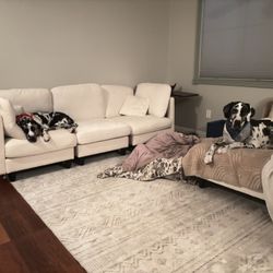 Large Neutral Rug + Solid Wood Chaise Lounge + More