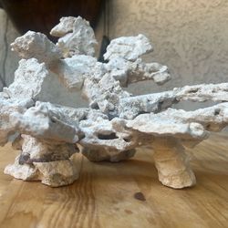 Marco rock structure for coral tank