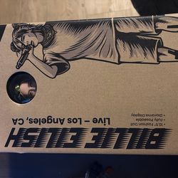 Billie Eilish live Doll