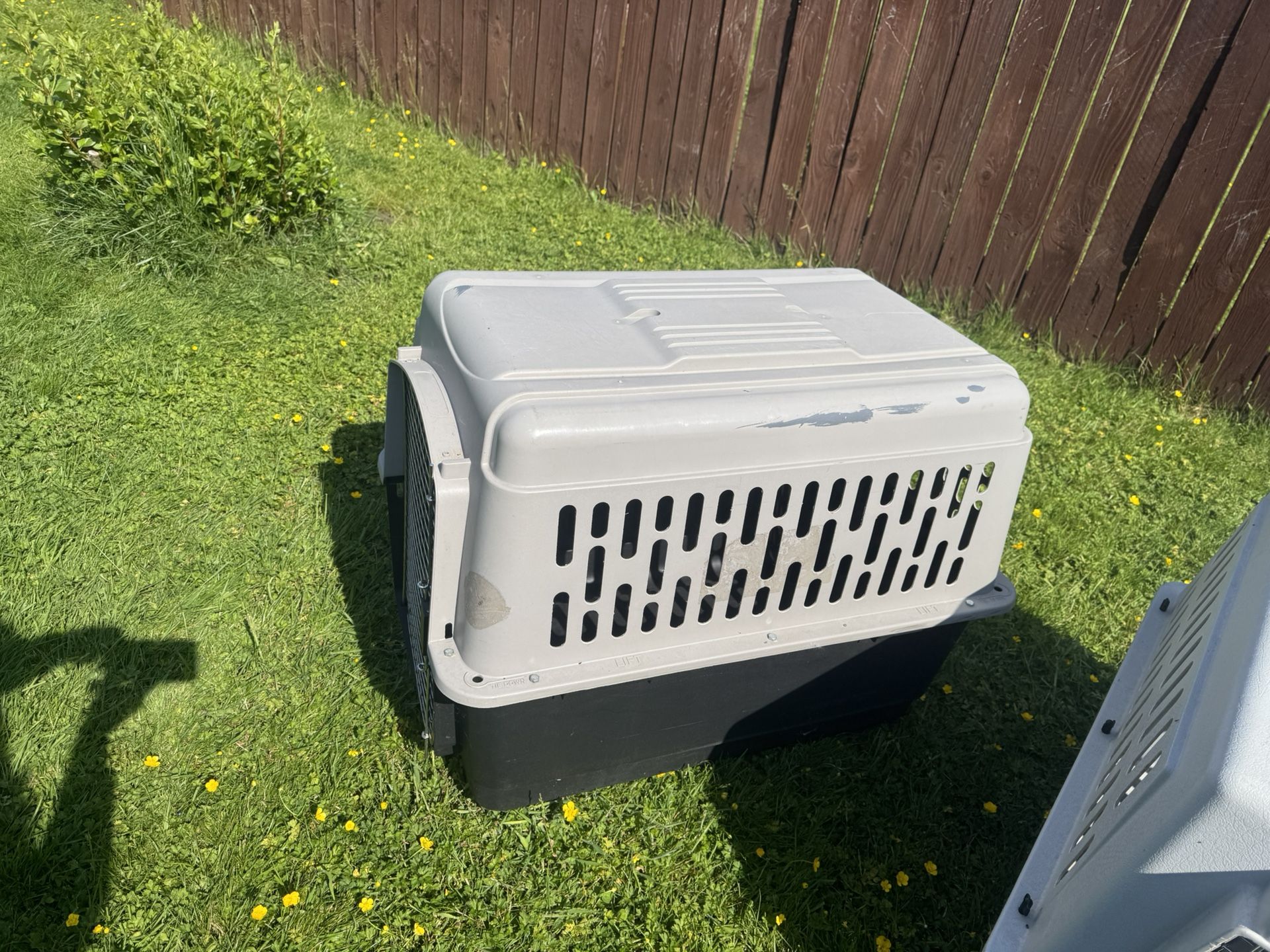 Large Dog Crates