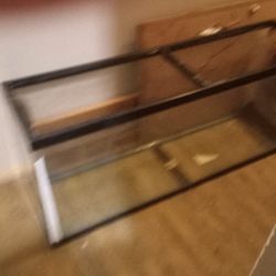 Fish Tank With Every Thing With It
