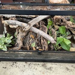 40 Gallon Terrarium Setup