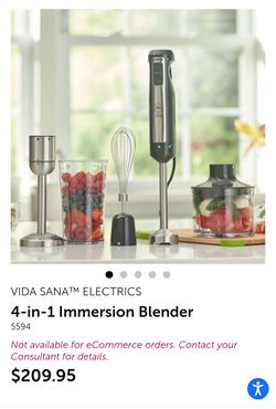 Princess House 4 in 1 Immersion Blender