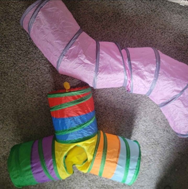 Cat Tunnel Toy [2]