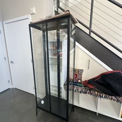 Shelves Glass 