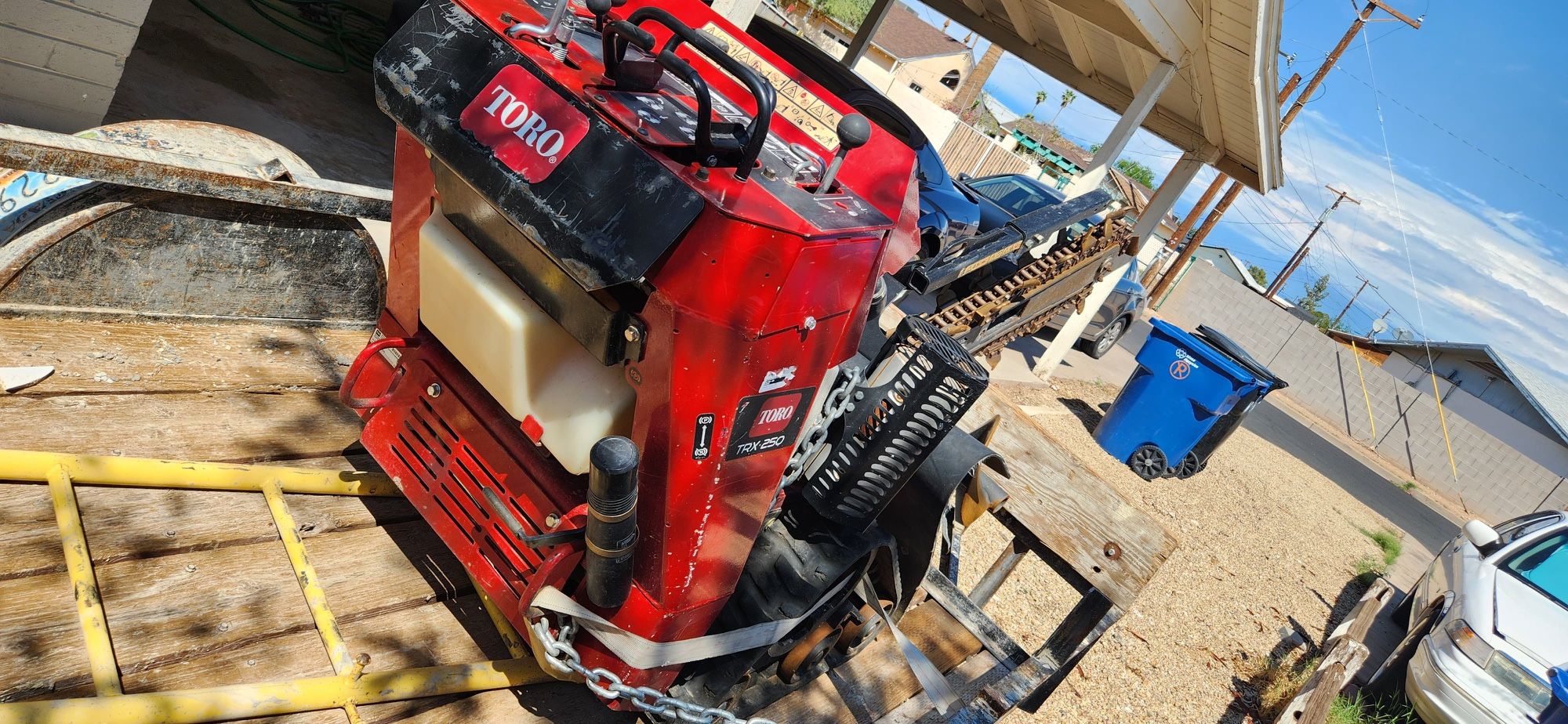 Toro Trx 250
