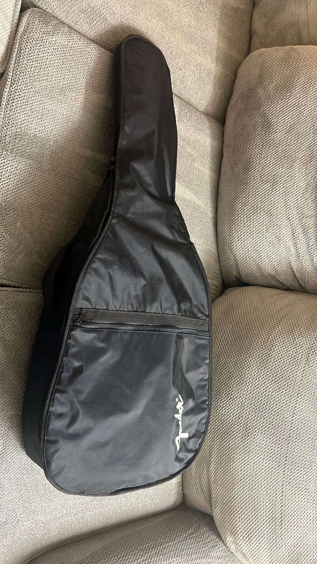 Rogue fine instrument Guitar