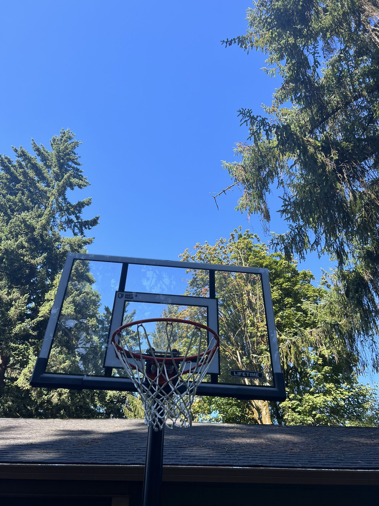Lifetime Basketball Hoop Top of the line 