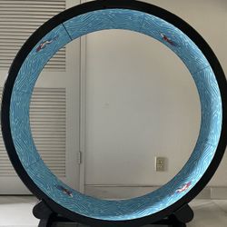 Cat  Exercise Wheel