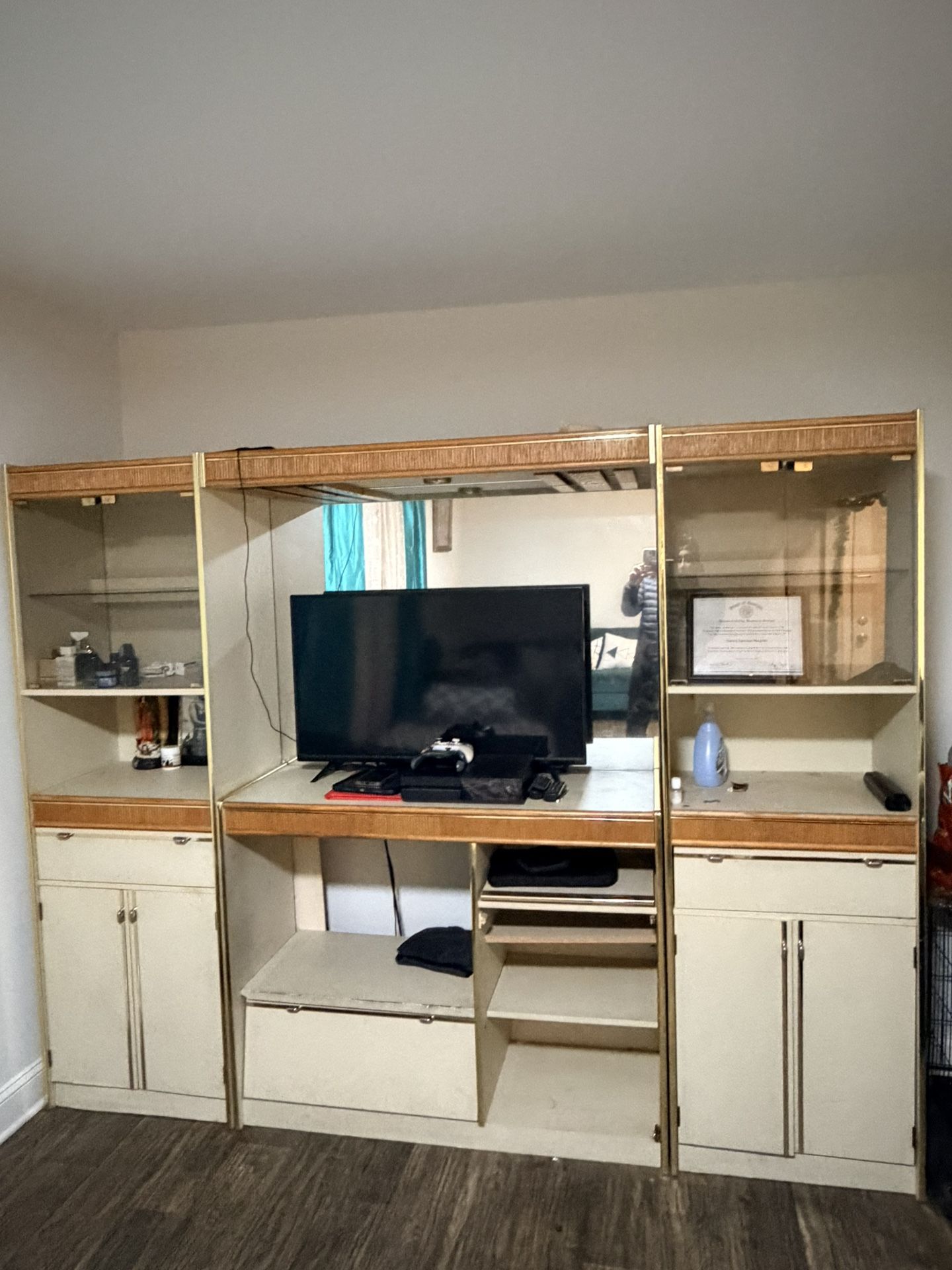 Entertainment Center/Wall Unit