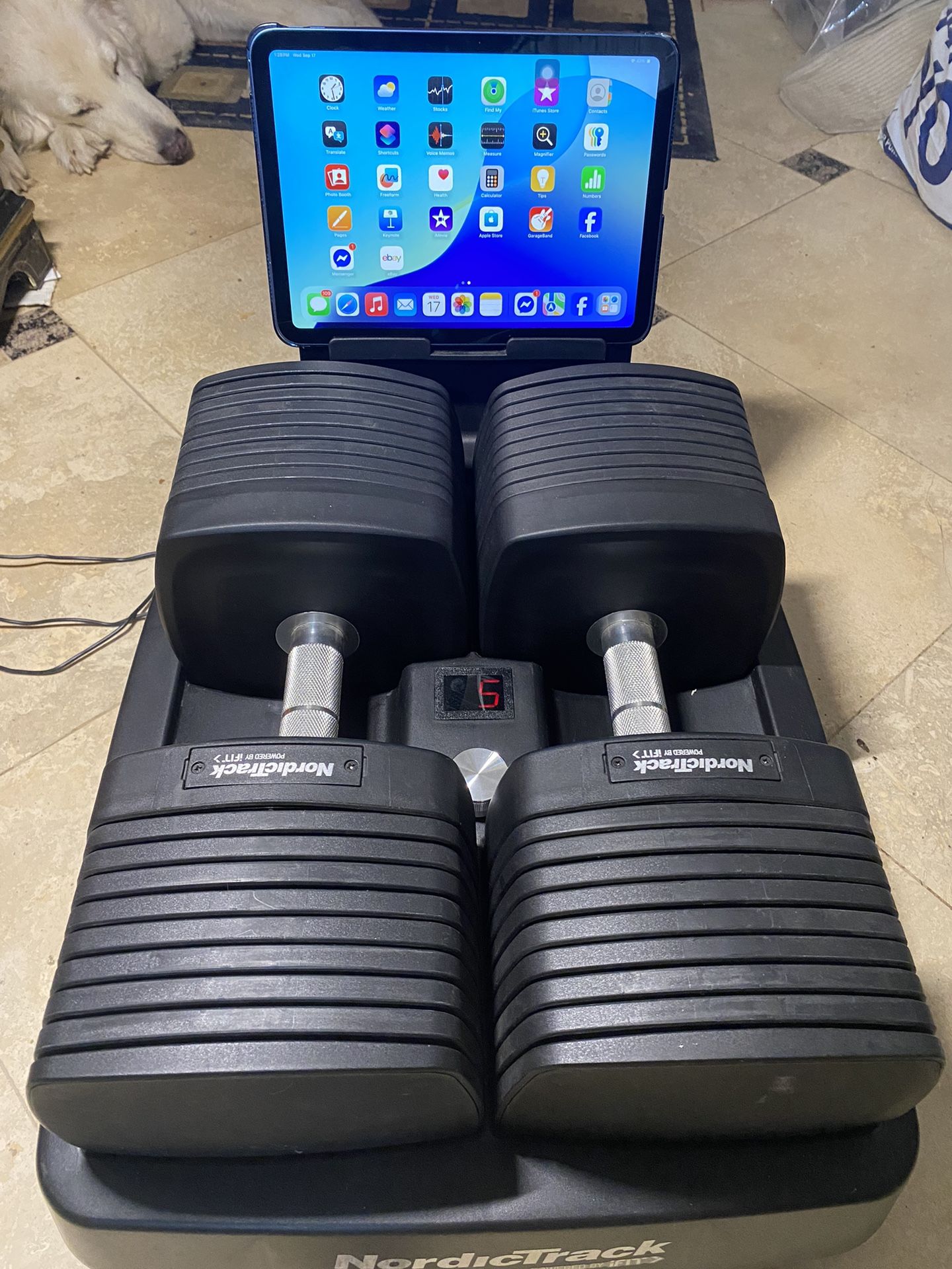 Digital Dumbbell Set 