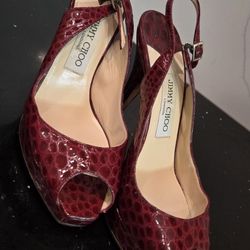 Woman Authentic Shos Sz8