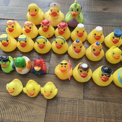 30 Ducks 