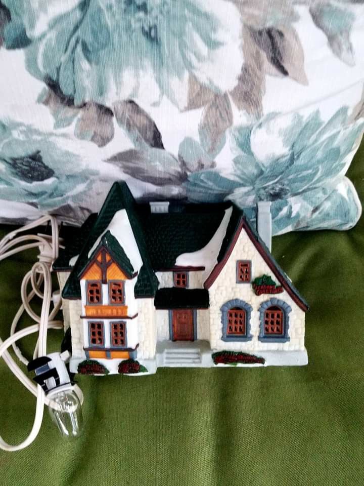 Holiday light Up House