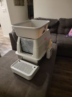 Cat Litter Box