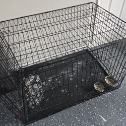 Dog Crate