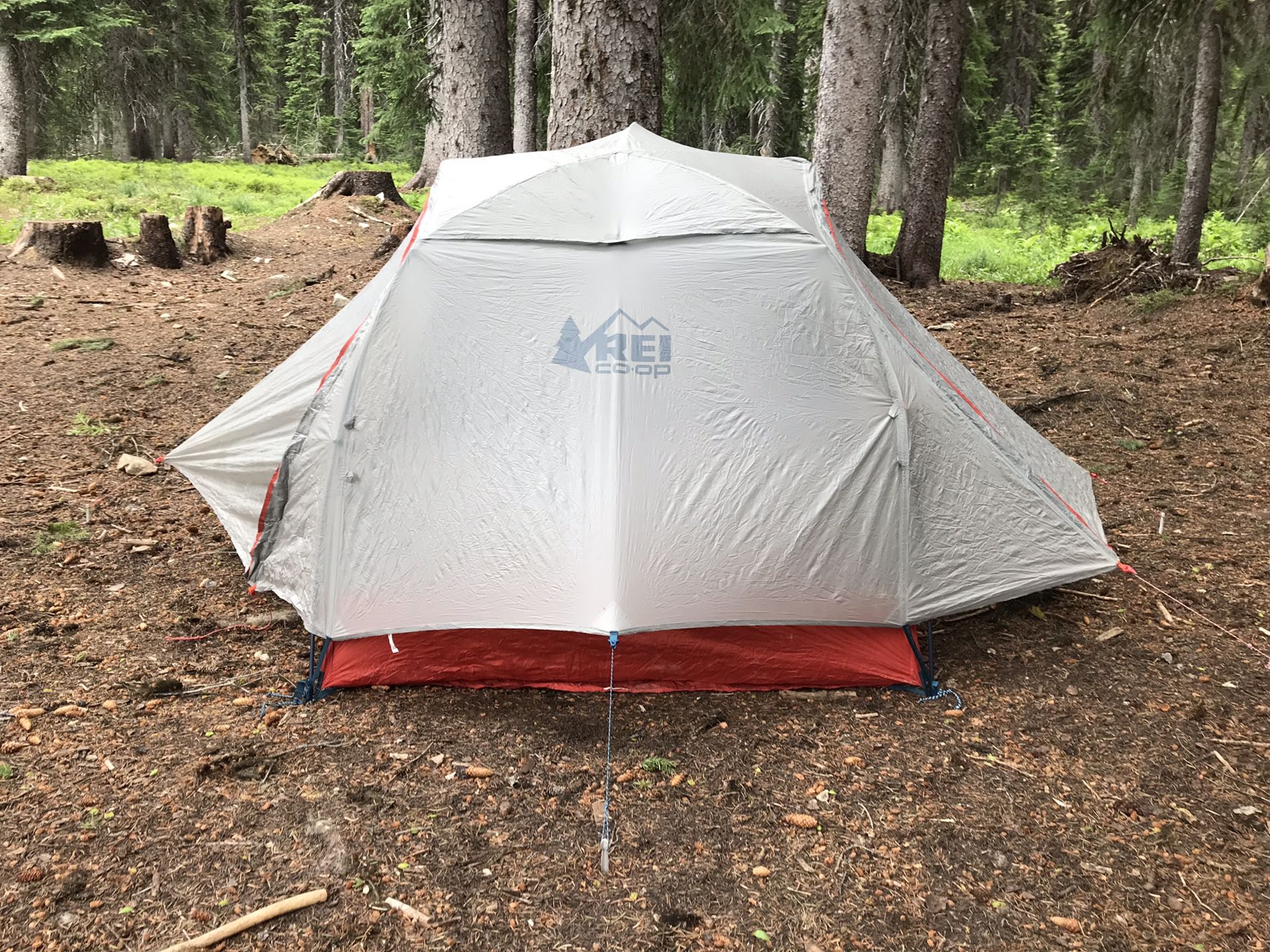 Rei quarter dome 2