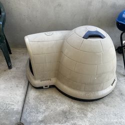 Dog house - igloo