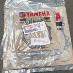 Yamaha Ttr 110 Clutch Kit New