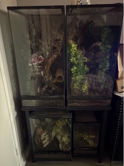 Reptile enclosures