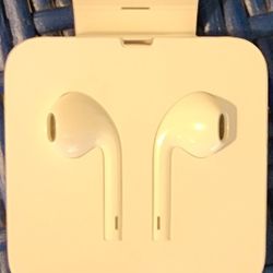 Apple Earbuds - New Condition