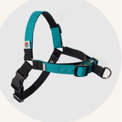 Wildebeest New Dog Adjustable Harness Teal