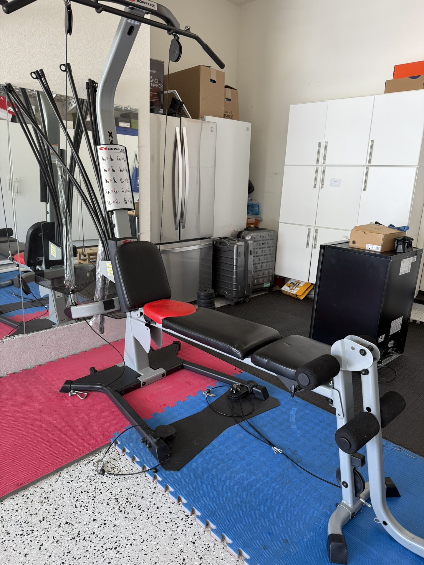 Bowflex Blaze