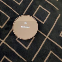Google Nest