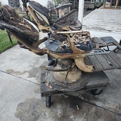 Antique Two Dentist Chairs 