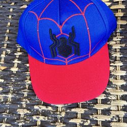 Boys 3-7 Spider-Man Hat