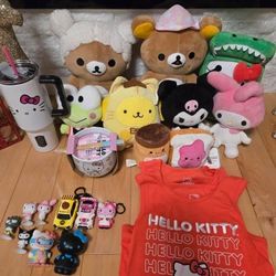 Sanrio Plushies & More 