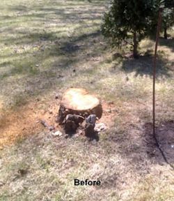 Tree Remover Stump Grinder tree trimmer