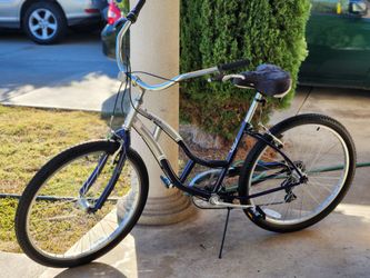 Jaguar Cruiser Bike Blue and Silver