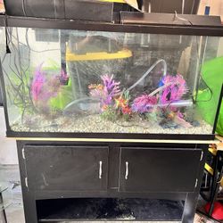 Fish Tank With Stand 