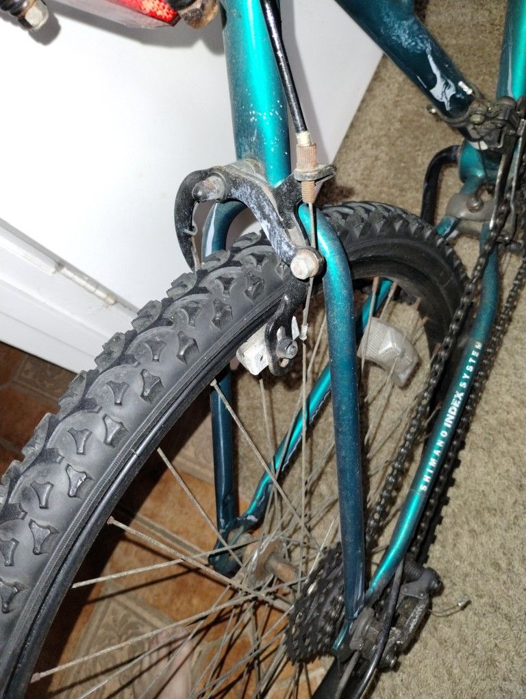 Bicycle And A 80cc Gas Engine