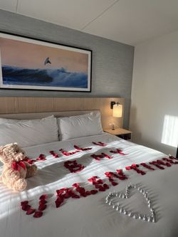 Valentines Day Teddy Bear & Artificial Rose Petals