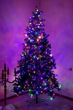 🎄 Christmas Three 7.5 Ft. Christmas Is Here !!
