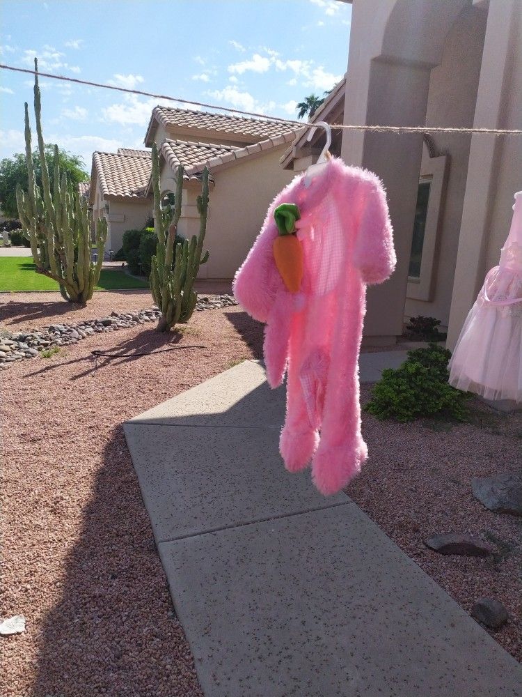 Bunny Costume