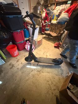 Electric scooter bird