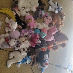 Squishmallows & Plushies