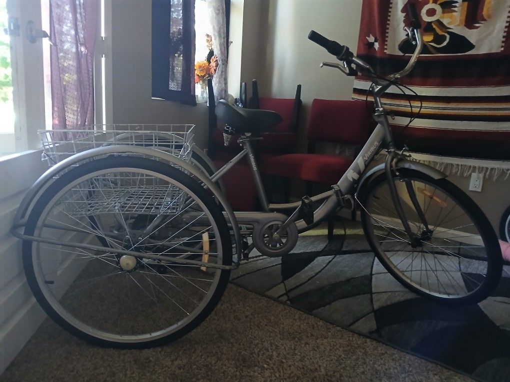 Adult Tricycle