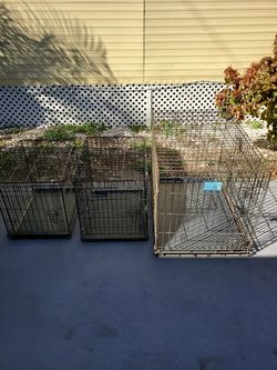 Dog cages