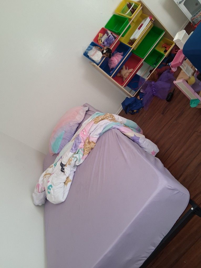 Colored Toy Organizer