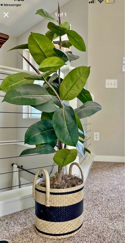 Artificial Rubber Tree
