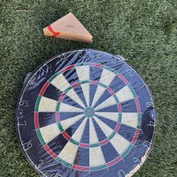 Dartboard With Pins