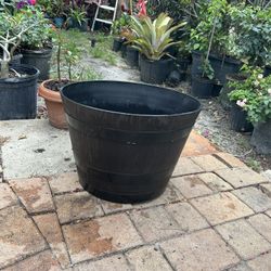 Flower Pot 