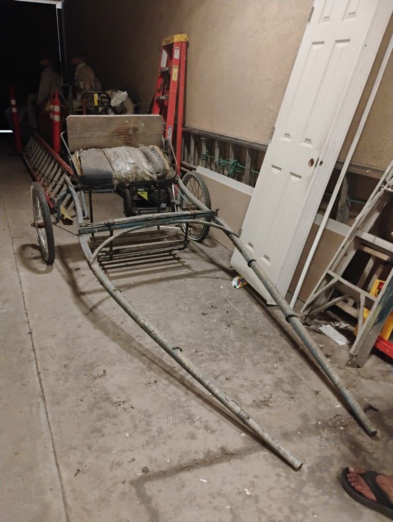 Antique Horse Buggy