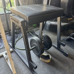 Rogue Reverse Hyper extension 